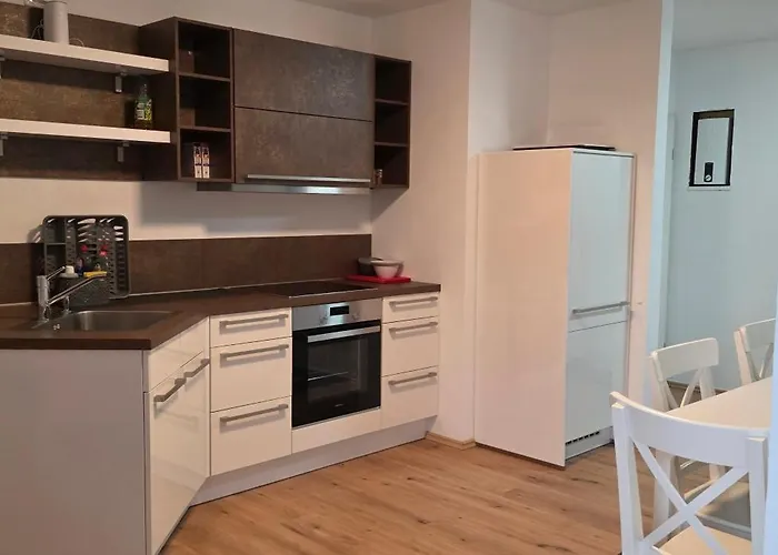 Fuer Monteure Und Beruflich Reisende Apartament